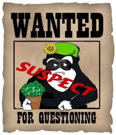 Guerilla Gardener wanted for suspected involvement and organization of the famous Tomato Caper of 2015!