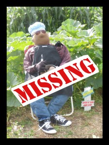 Ray Missing Poster