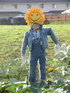 Scarecrow Contest 2013_Sunshine Man
