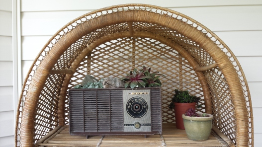 Radio planted with Sedum