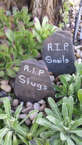 RIP Slugs and Snails